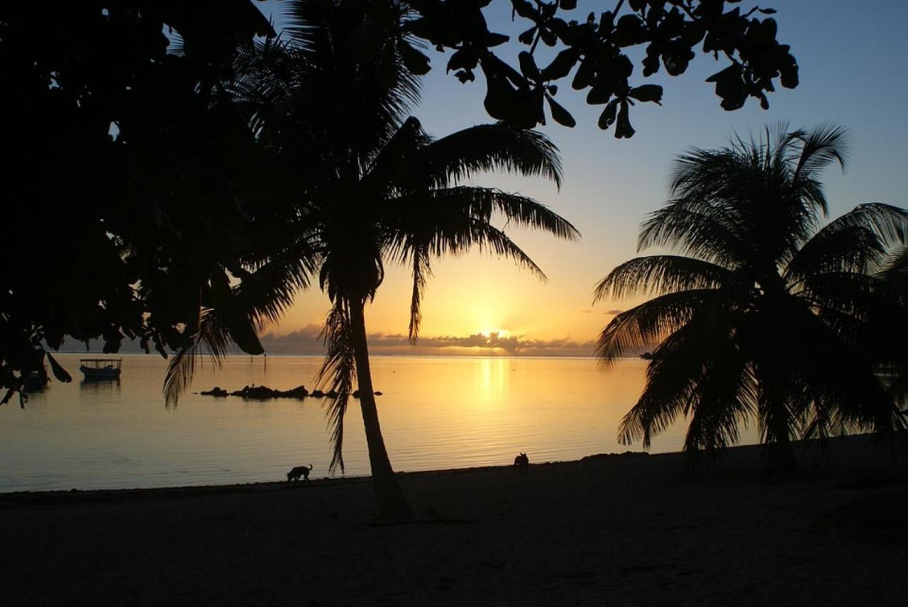 Tahiti - Taharuu Houses Surf & Beach Papara Exterior foto